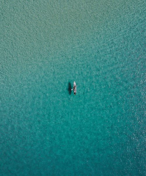lachlan-dempsey-wG3hNLfu75A-unsplash